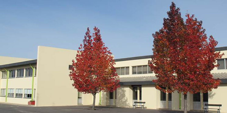 foto da Escola secundária