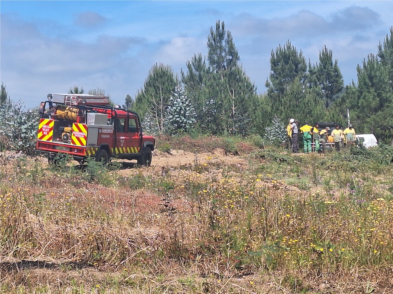 3 Prevenção em Fogos Florestais